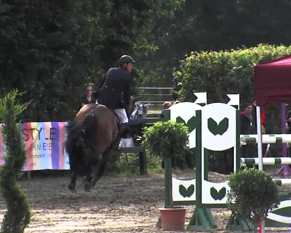 Reitturnier Tangstedt/Pinneberg 2015