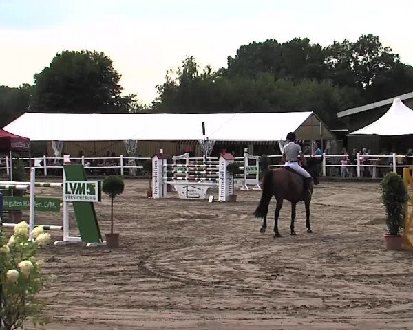 Reitturnier Tangstedt/Pinneberg 2015