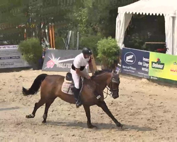 HORSE classics Killingen 2015