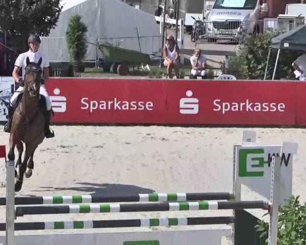 HORSE classics Killingen 2015