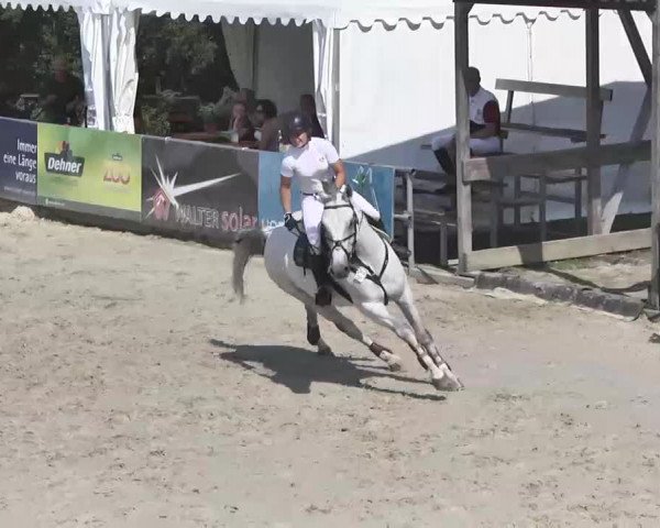 HORSE classics Killingen 2015