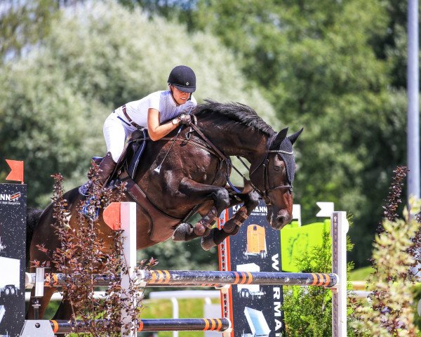jumper Carington (Holsteiner, 1997, from Caretino)
