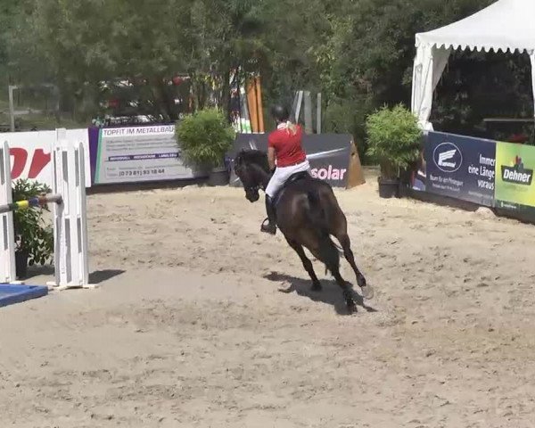 HORSE classics Killingen 2015