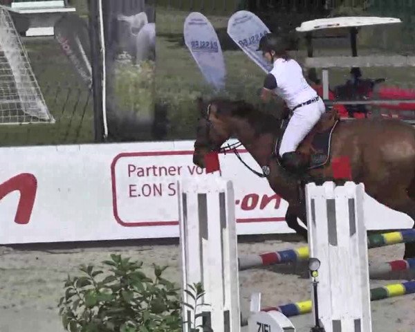 HORSE classics Killingen 2015