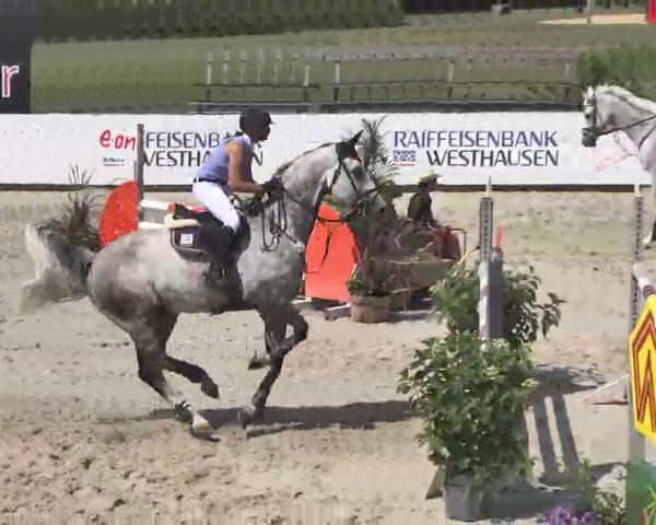 HORSE classics Killingen 2015