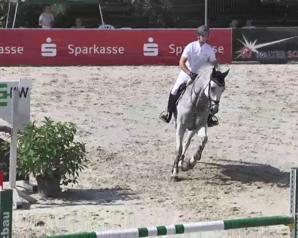 HORSE classics Killingen 2015