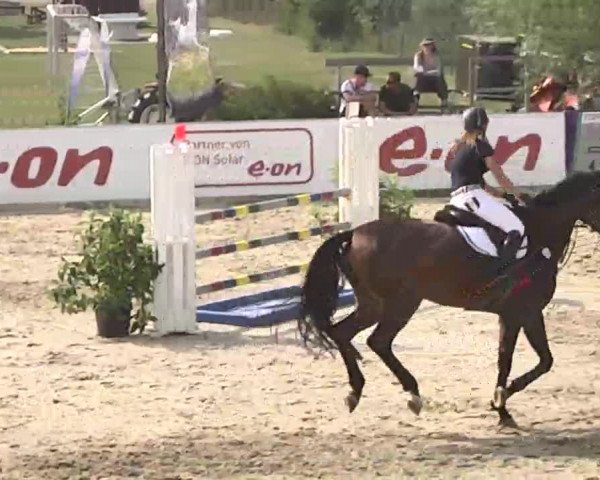 HORSE classics Killingen 2015