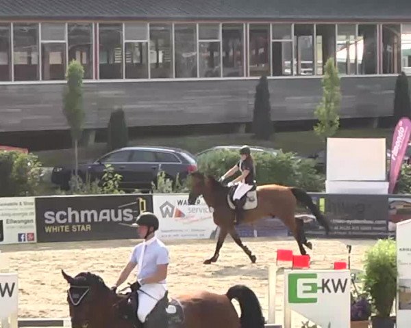 HORSE classics Killingen 2015