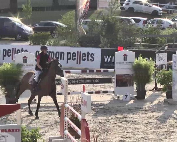 HORSE classics Killingen 2015