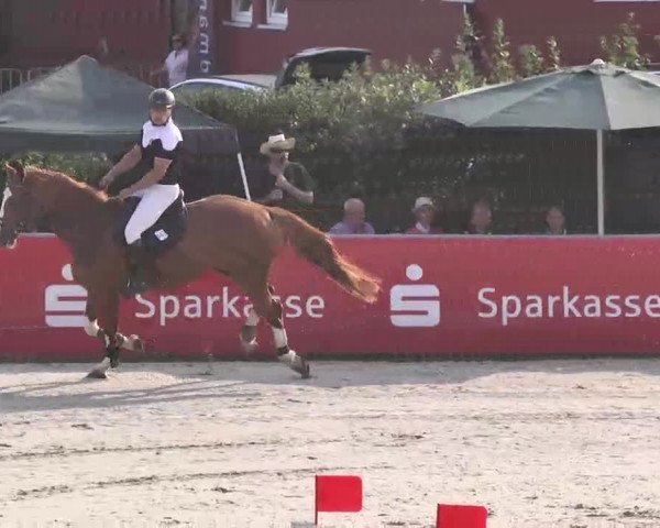 HORSE classics Killingen 2015