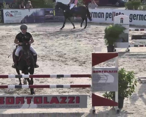 HORSE classics Killingen 2015