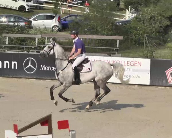 HORSE classics Killingen 2015
