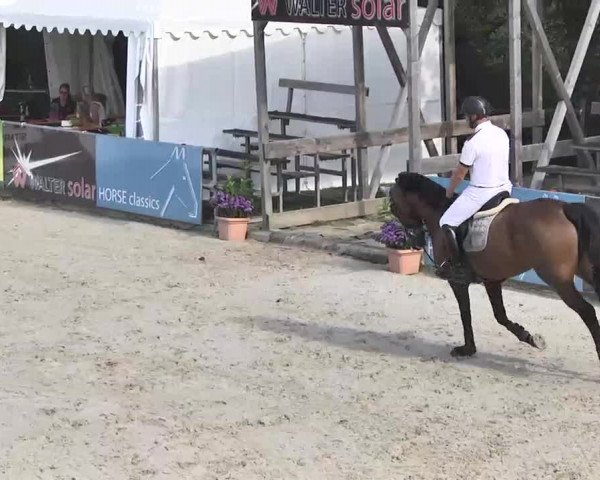 HORSE classics Killingen 2015