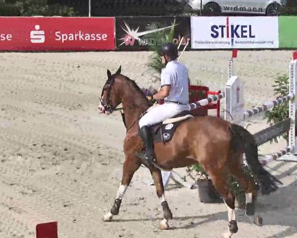 HORSE classics Killingen 2015