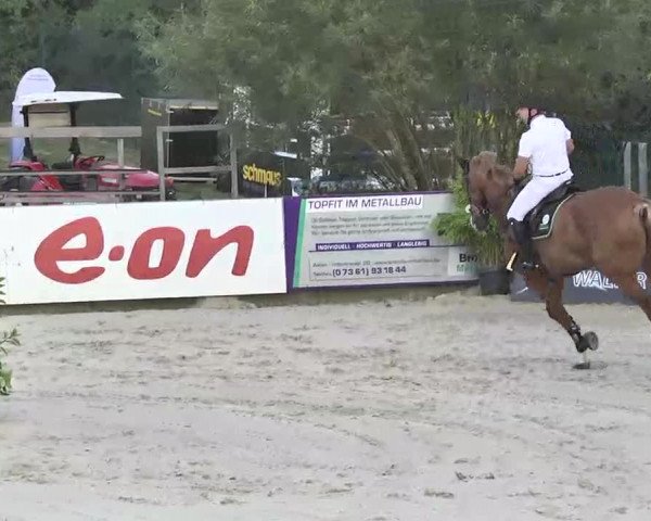 HORSE classics Killingen 2015