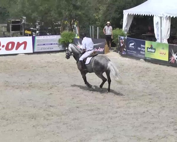 HORSE classics Killingen 2015