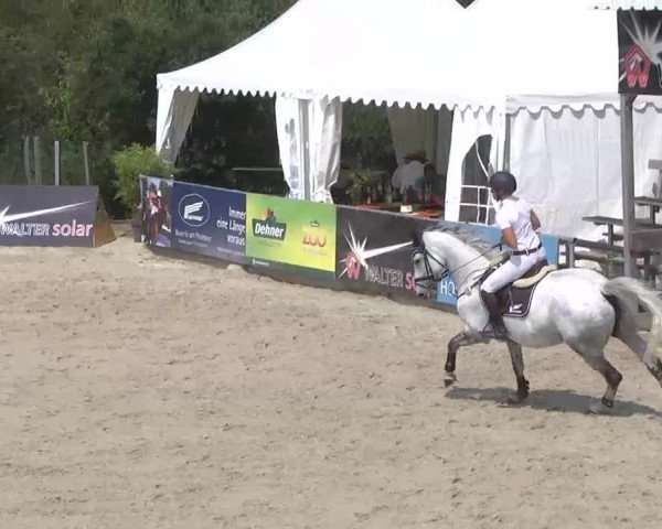 HORSE classics Killingen 2015