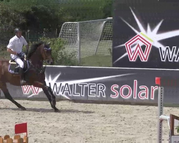 HORSE classics Killingen 2015