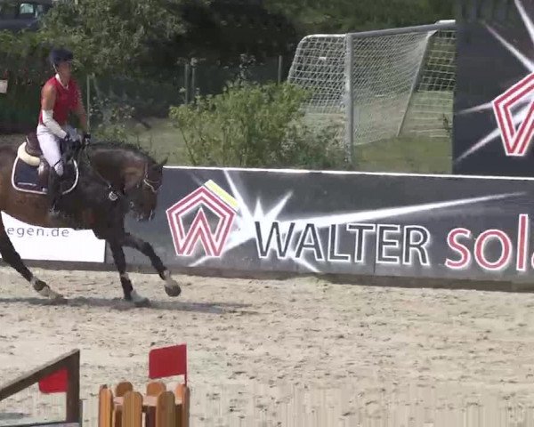 HORSE classics Killingen 2015