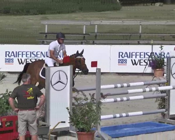 HORSE classics Killingen 2015