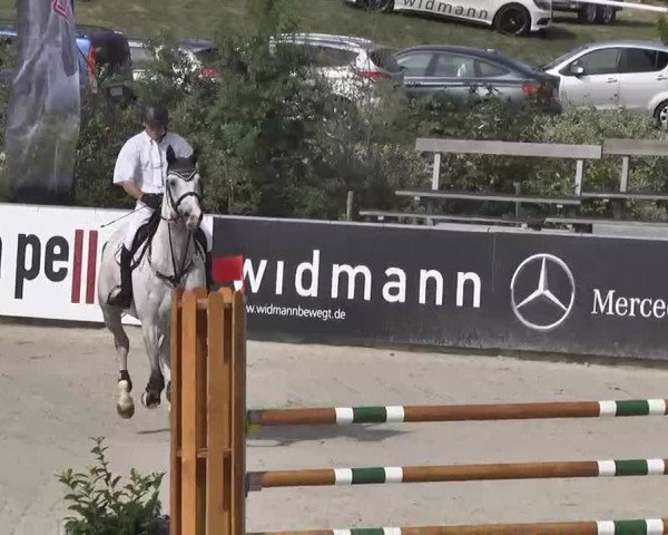 HORSE classics Killingen 2015