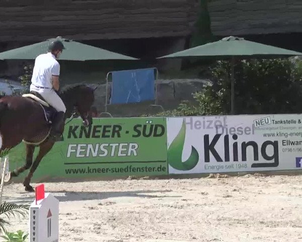 HORSE classics Killingen 2015