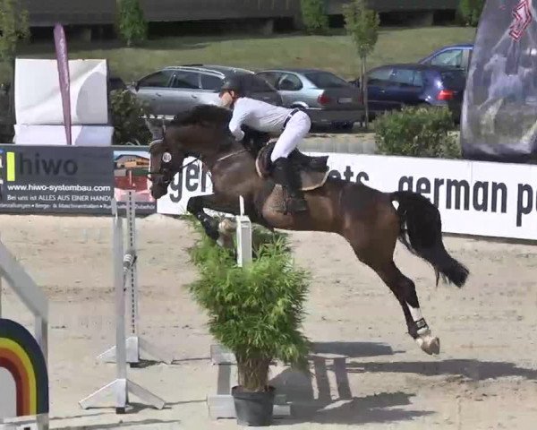 HORSE classics Killingen 2015