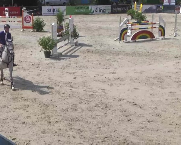 HORSE classics Killingen 2015