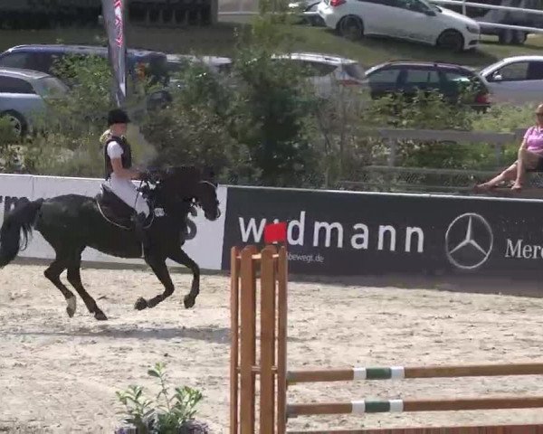 HORSE classics Killingen 2015
