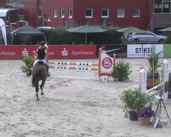 HORSE classics Killingen 2015
