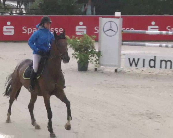 HORSE classics Killingen 2015