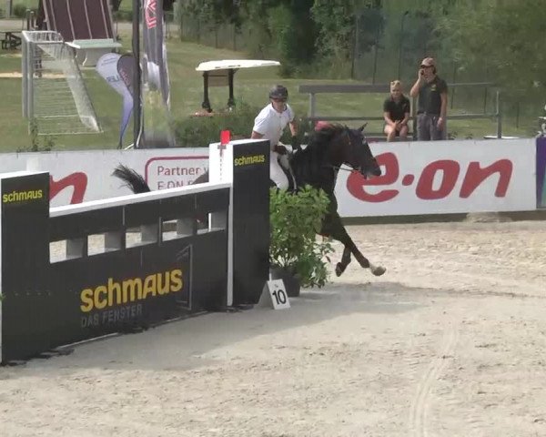 HORSE classics Killingen 2015