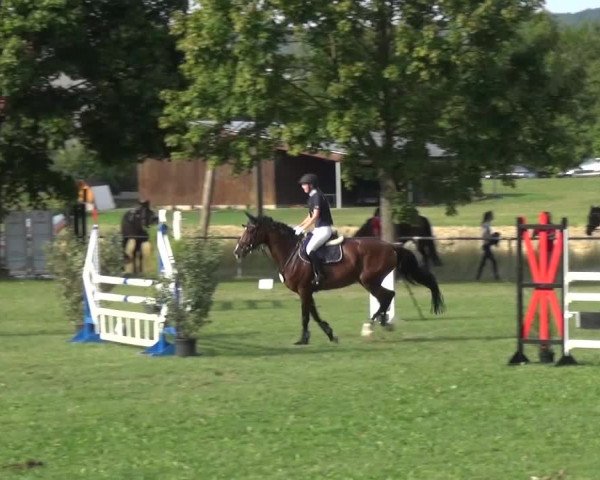 Gültsteiner Springtage 2015