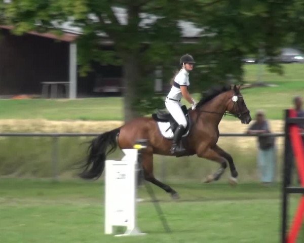 Gültsteiner Springtage 2015