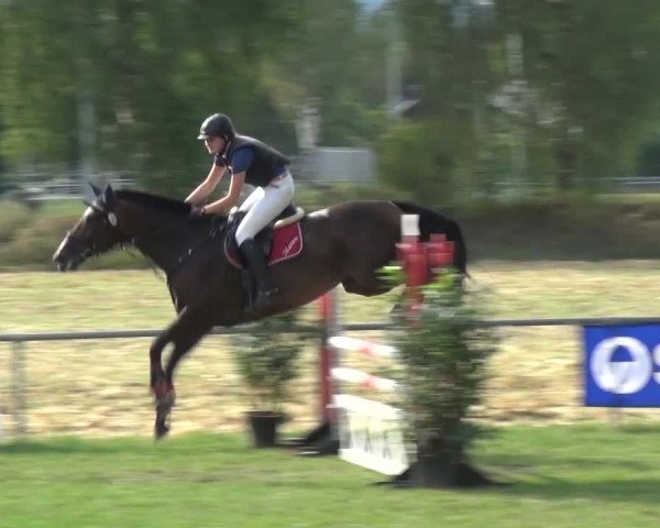 Gültsteiner Springtage 2015