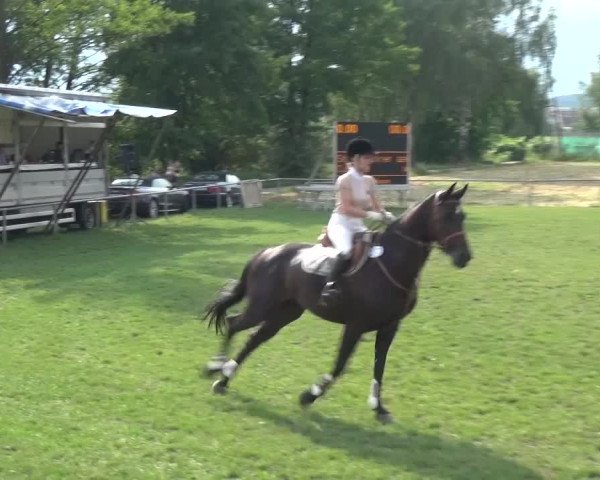 Gültsteiner Springtage 2015