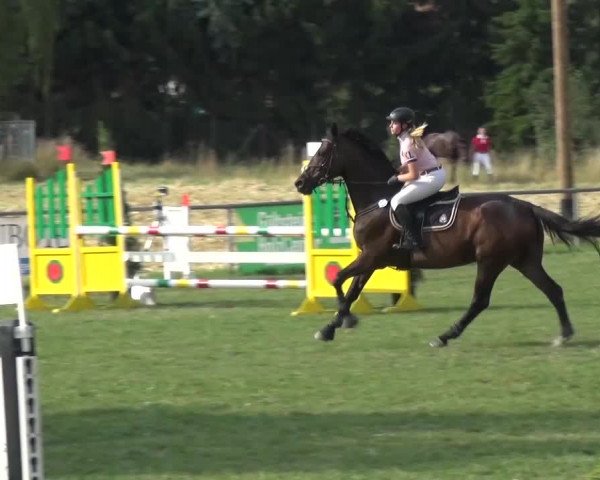Gültsteiner Springtage 2015