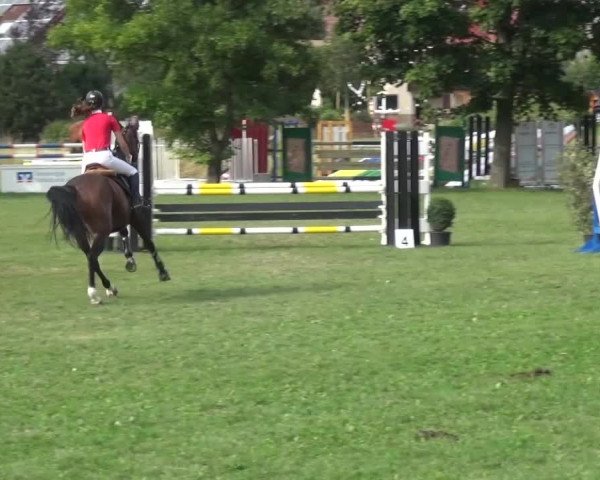 Gültsteiner Springtage 2015
