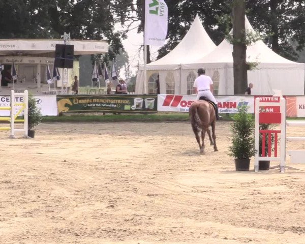Reitturnier Datteln 2015