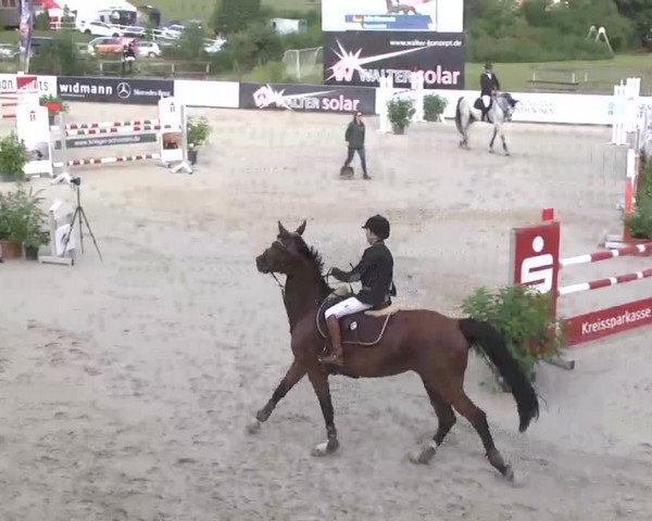 HORSE classics Killingen 2015