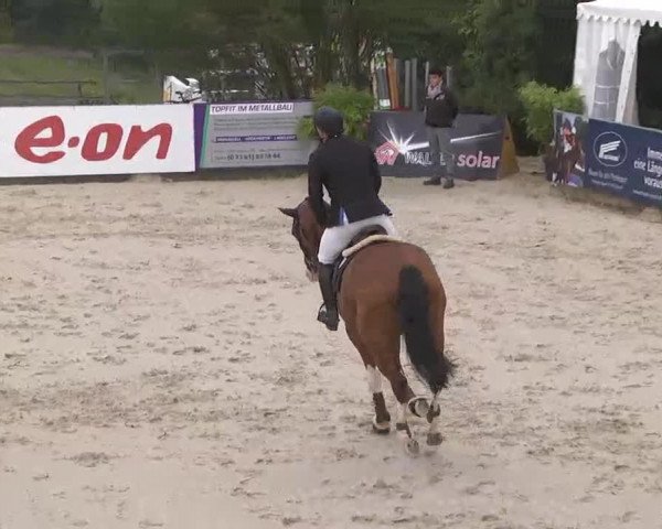 HORSE classics Killingen 2015
