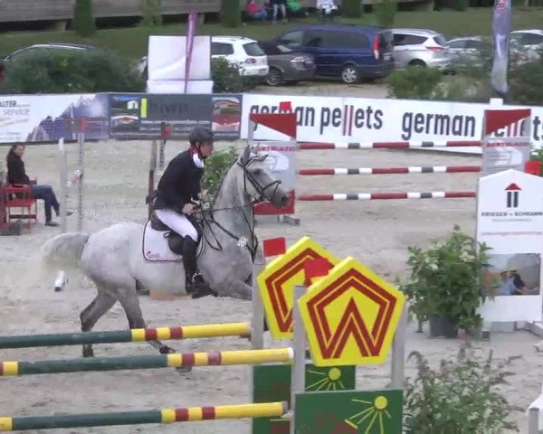 HORSE classics Killingen 2015