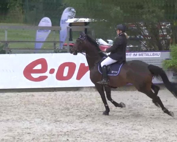 HORSE classics Killingen 2015