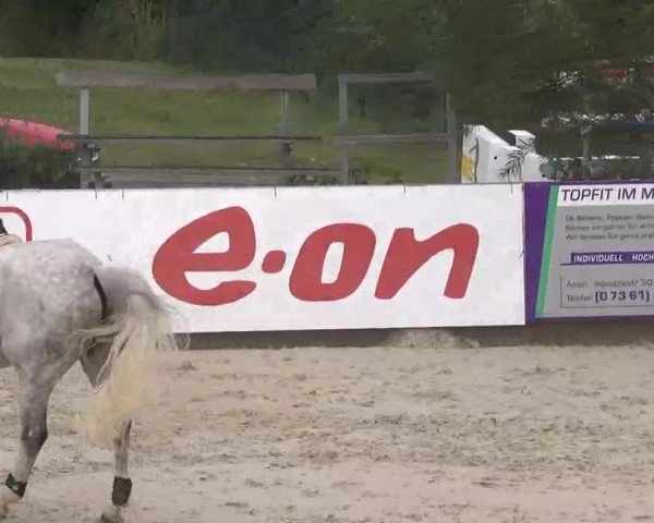 HORSE classics Killingen 2015