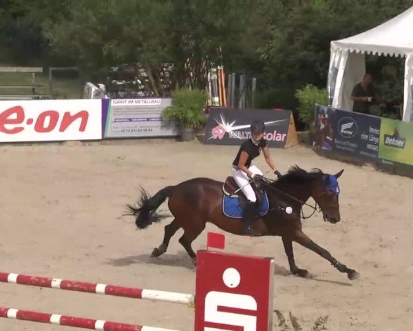 HORSE classics Killingen 2015