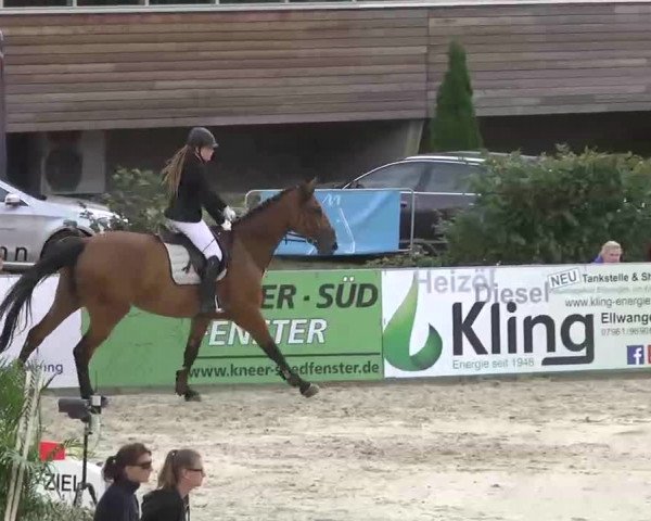 HORSE classics Killingen 2015