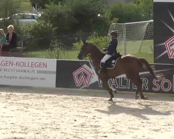 HORSE classics Killingen 2015