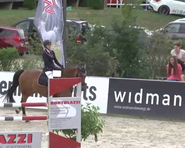 HORSE classics Killingen 2015