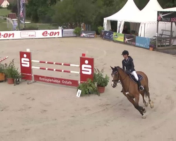 HORSE classics Killingen 2015