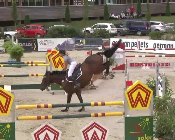 HORSE classics Killingen 2015